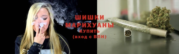 гидра Белокуриха